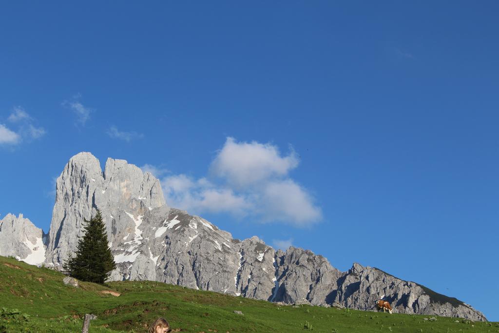 Salzburger Dolomitenhof Annaberg im Lammertal Ngoại thất bức ảnh