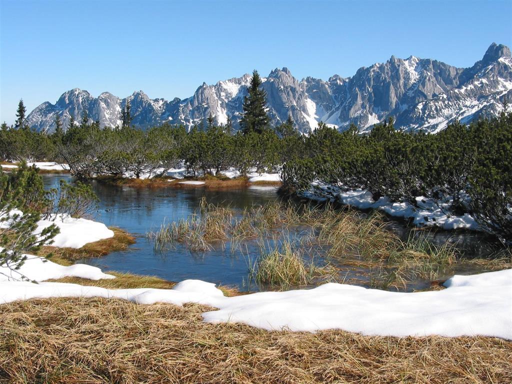 Salzburger Dolomitenhof Annaberg im Lammertal Ngoại thất bức ảnh