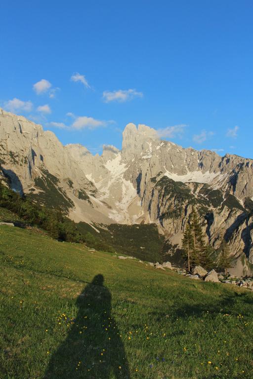 Salzburger Dolomitenhof Annaberg im Lammertal Ngoại thất bức ảnh