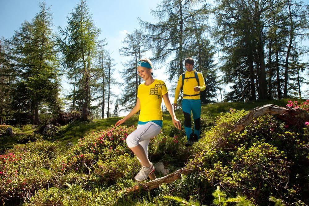 Salzburger Dolomitenhof Annaberg im Lammertal Ngoại thất bức ảnh
