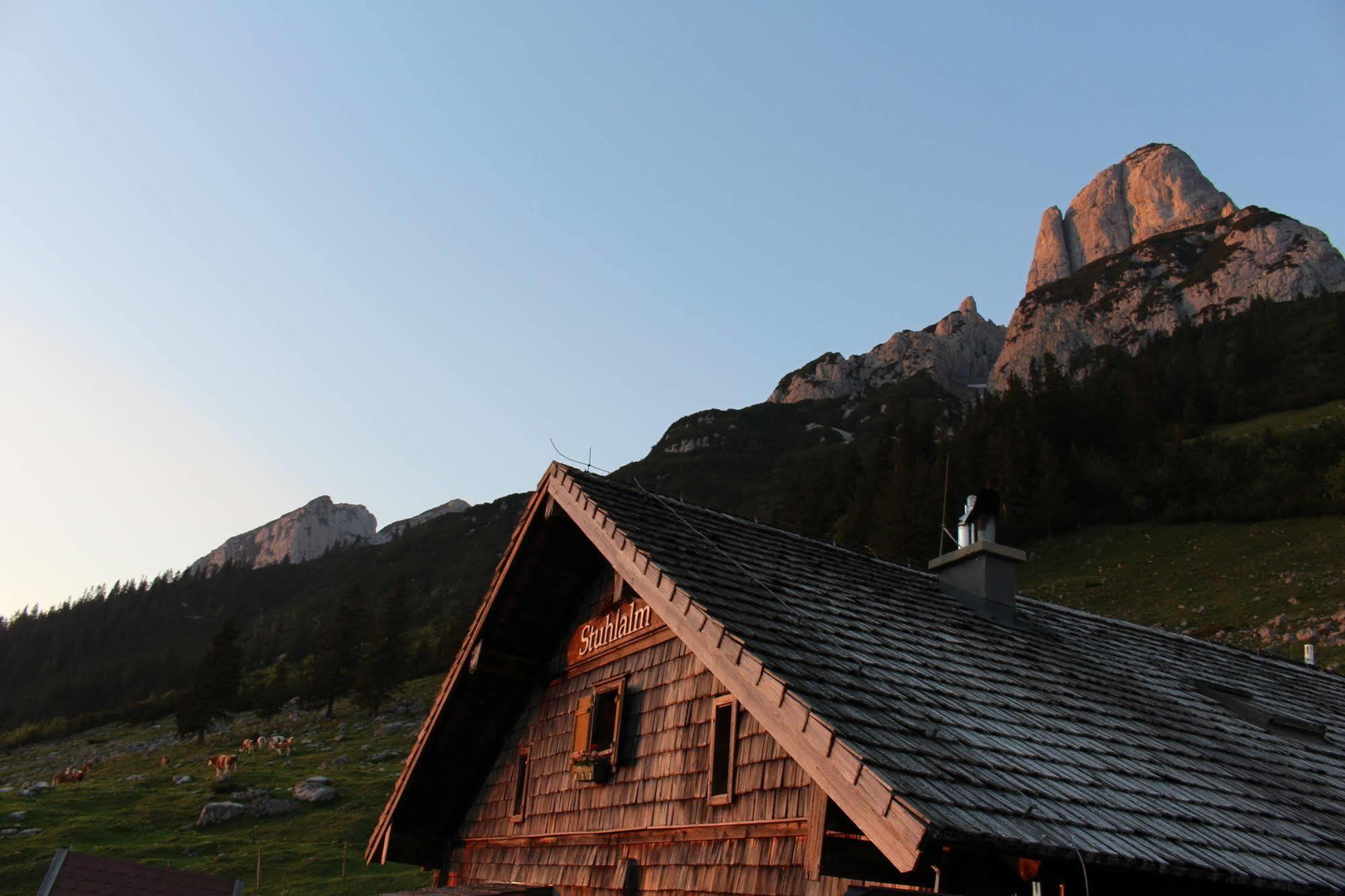 Salzburger Dolomitenhof Annaberg im Lammertal Ngoại thất bức ảnh