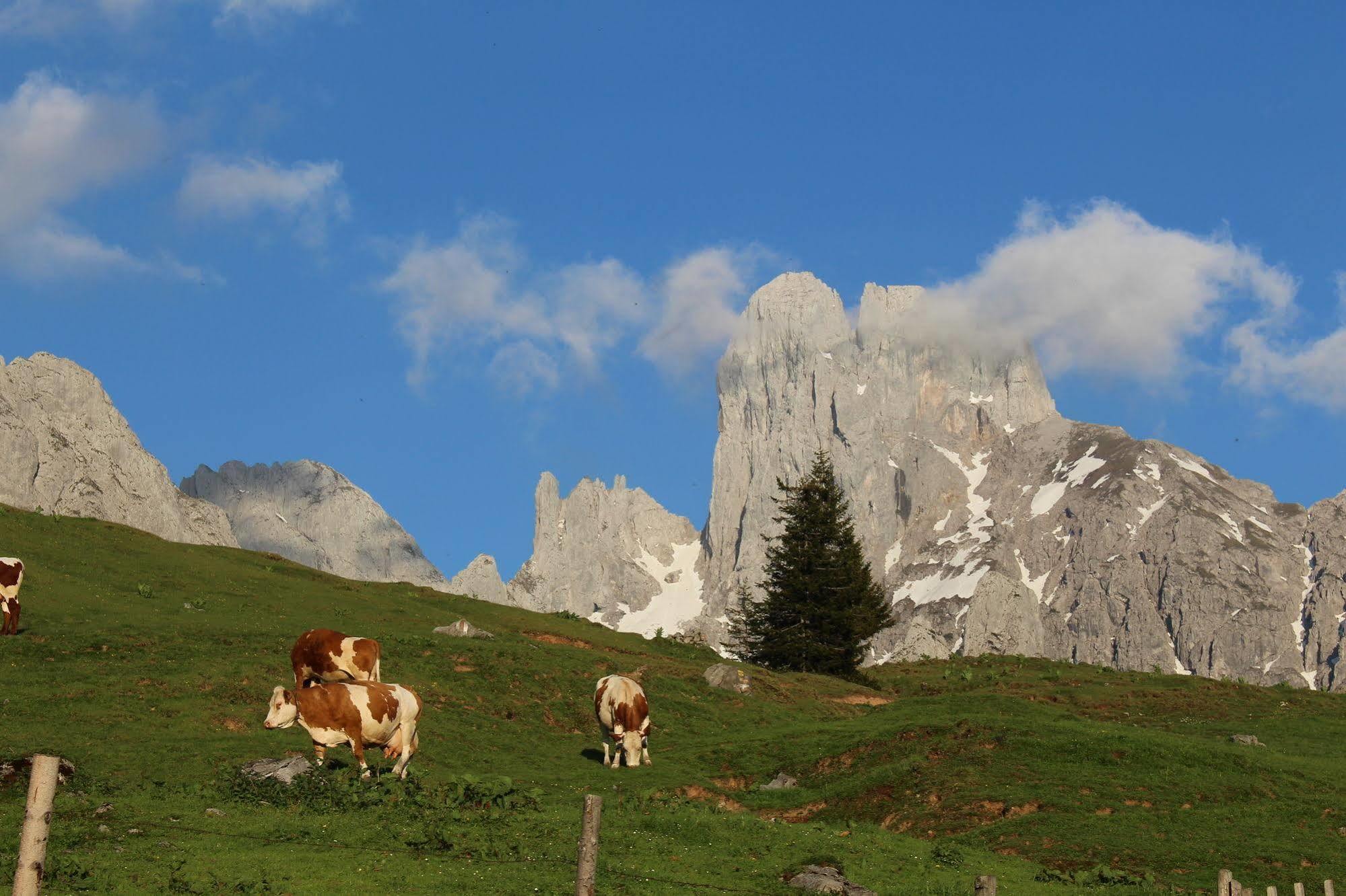 Salzburger Dolomitenhof Annaberg im Lammertal Ngoại thất bức ảnh